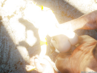 Naura - The Strange Place Lord Kvento