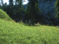 World of Orgasm 3D WOW SFM