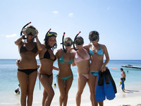 Hot bikini babes!