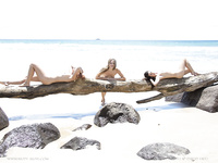 Aims, Elly and Kathleen's - Beach Bums