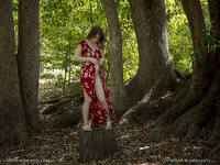 Pregnant girl undressed in the forest