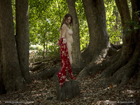 Pregnant girl undressed in the forest