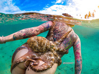 Octopus tentacles xxx nude underwater photos