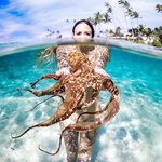 Octopus tentacles xxx nude underwater photos