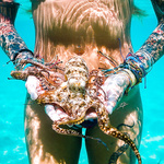 Octopus tentacles xxx nude underwater photos
