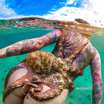 Octopus tentacles xxx nude underwater photos