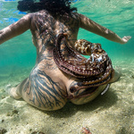 Octopus tentacles xxx nude underwater photos