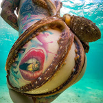 Octopus tentacles xxx nude underwater photos