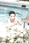 Kendall Jenner and horse all photos
