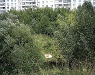 Sexy Pics 31 10 2018