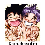 Kamehasutra