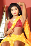 Indian model 2