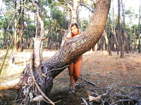 Exhibition nude on a tree