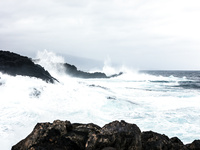 Ariela SEXY LITTLE MERMAID