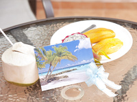 Ariel Tropical Fruit