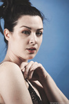 Stoya Collection