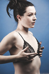 Stoya Collection