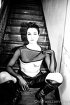 Stoya Collection