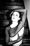 Stoya Collection