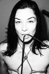Stoya Collection