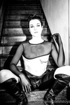 Stoya Collection