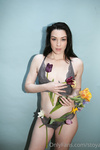 Stoya Collection
