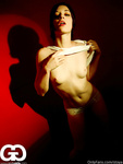 Stoya Collection