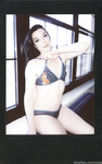 Stoya Collection