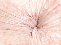 pussy asshol close up