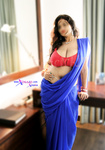 Desi Big Boobs Bhabhi