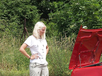 Nude in public : posee en carro