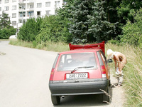Nude in public : posee en carro