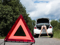 Nude in public : posee en carro