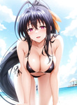 Zorras del anime