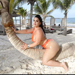 Lissa  Aires  :  Vagabunda