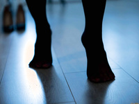 Ava Addams  - Rent A Pornstar The Lonely Bachelor