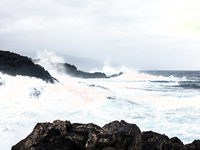 Ariela SEXY LITTLE MERMAID images 2