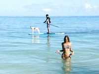 Maria TROPICAL PARADISE