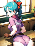 Bulma images 2