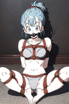 Bulma images 2