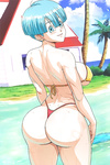 Bulma images 2