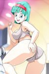 Bulma images 2