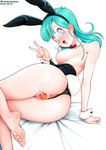 Bulma images 2