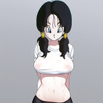 Videl