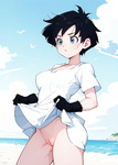 Videl