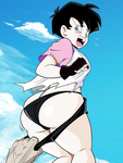 Videl