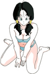 Videl