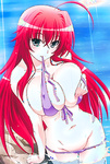 School DxD