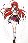 School DxD