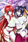 School DxD